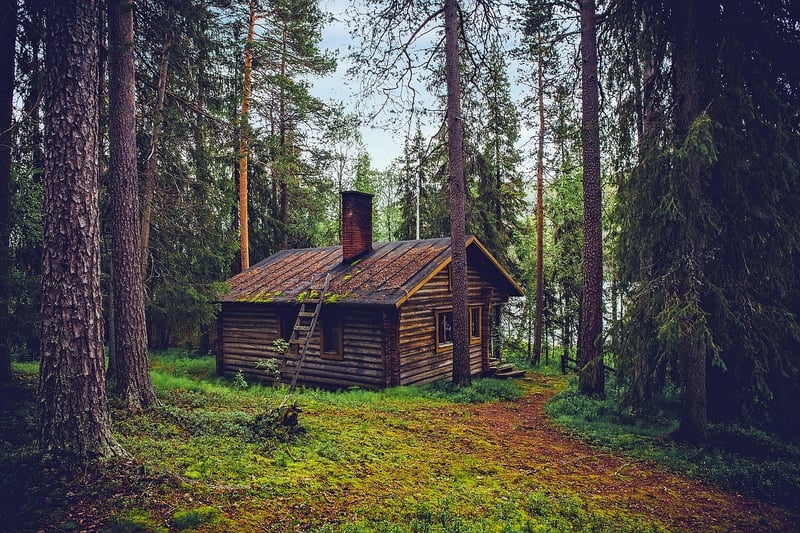 Rustic Cabins